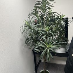 Artificial Plant