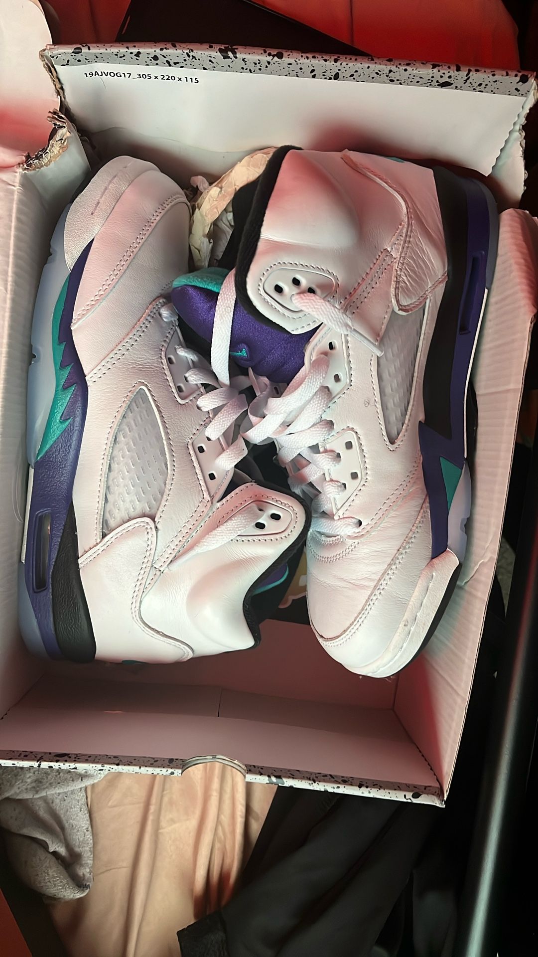 Air Jordan 5 Grape 2025