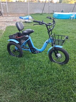 Three wheeler e bike
