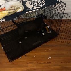 Huge Cage Double Door & Partition - Xx Large Dog Crate