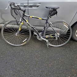 Giant TCR TWO Carbon Fiber Bike