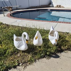 Blow Mold Swan Planter