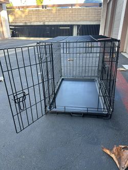 Kong Dog Kennel