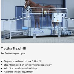 Horse Treadmill 