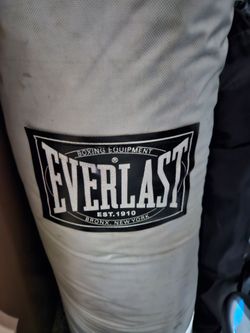 Everlast Boxing bag