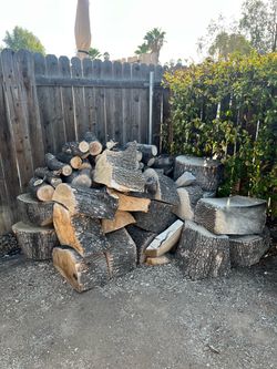 Large Pile of Cut Firewood Logs