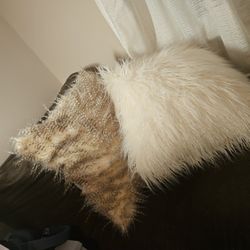 Two Fluffy Pillows For Couch Cute 😍  Great Condition