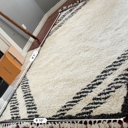 Carpet 10x10