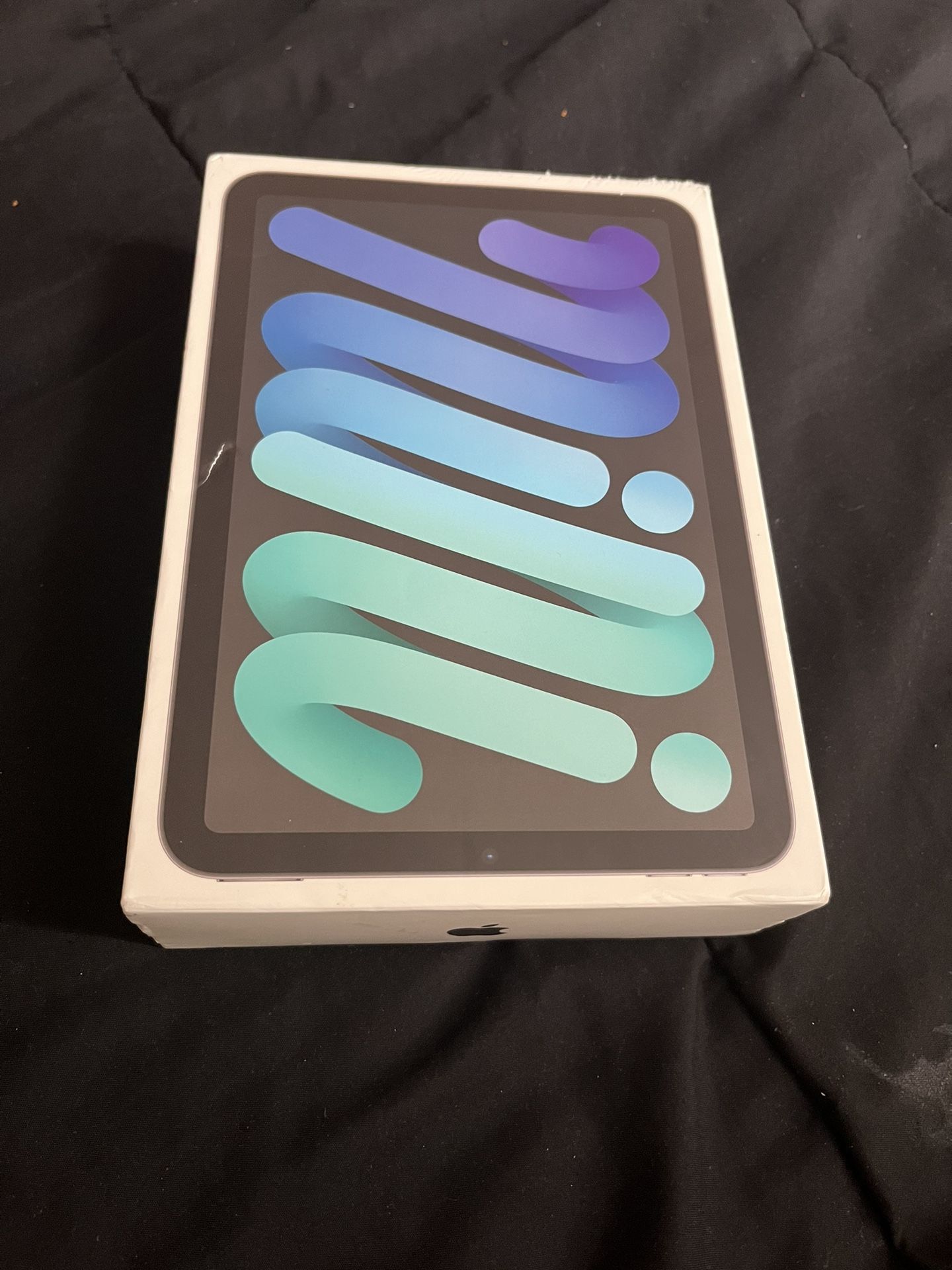 iPad Mini 6th Generation 