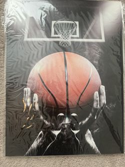 Basketball Canvas / 3 Pcs / 12x16 / NEW