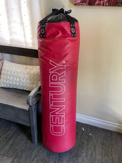Century punching bag