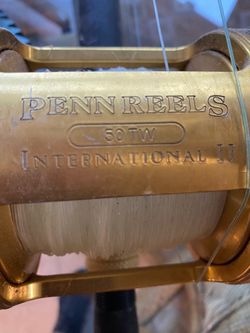 Penn International 50 TW and Rod Heavy duty