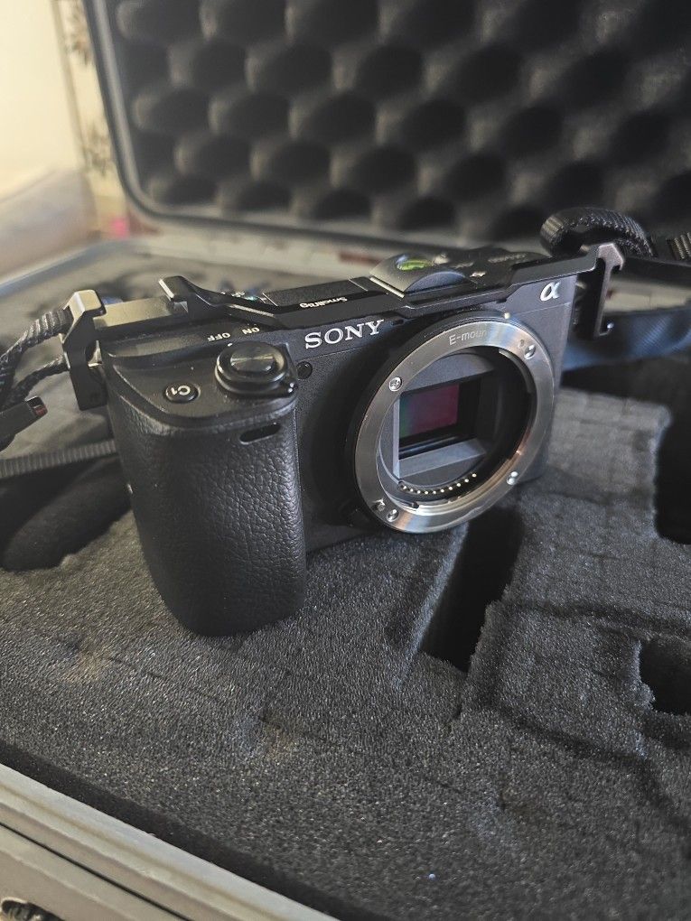 Sony a6400 Mirror less Camera w/ Mic, Light, and Pelican Case
