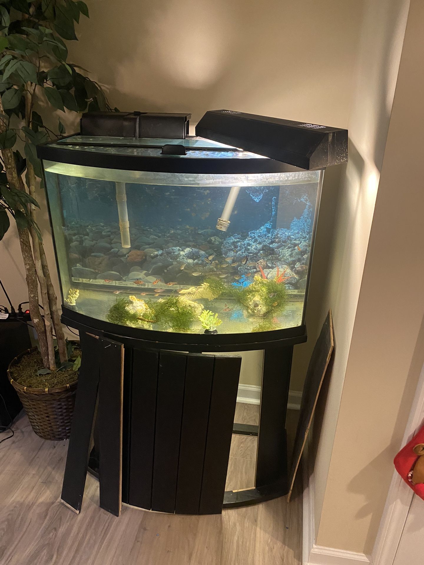 Fish Tanks