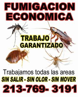 Fumigacion Profunda Economico 