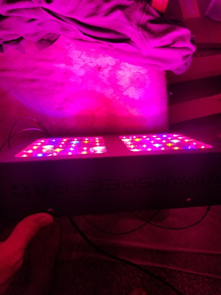 Vipar Spectra  300 Watt Led  Garden 