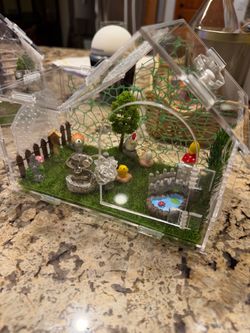 Bold Jumping Spider Pet Supplies