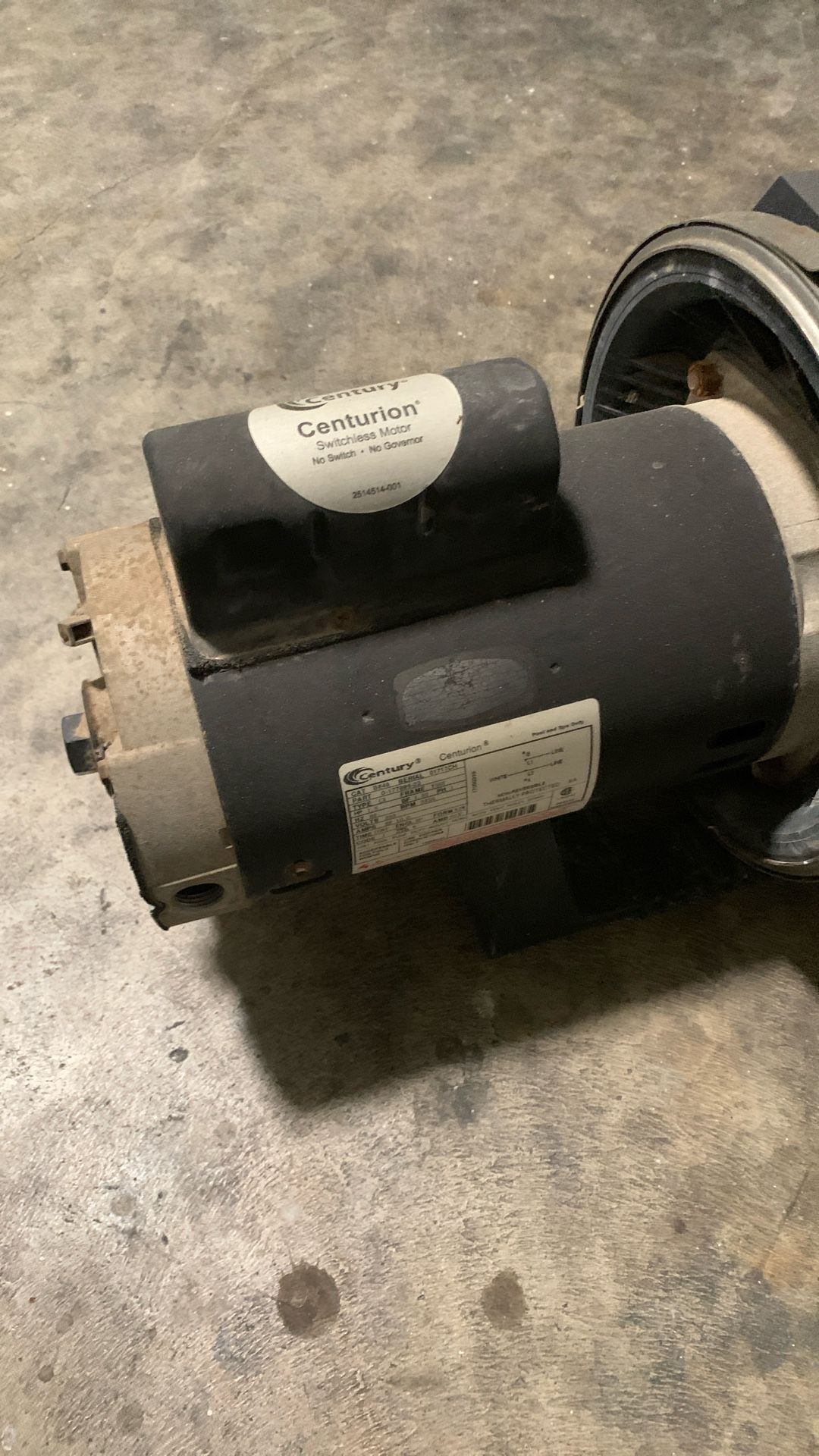 Pool Pump Motor 
