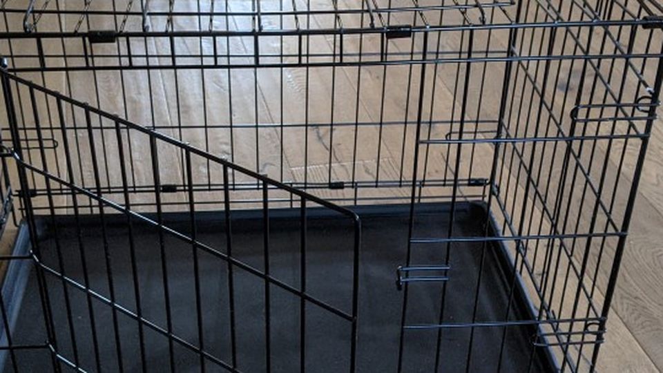 Dog Crate By iCrate (Medium, Double Door, Collapsible)