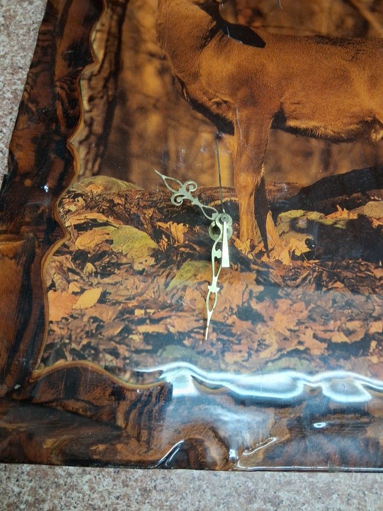 Deer mounted on wood polyurethane clock and antlers.