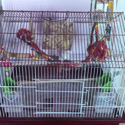 Bird Cage Everything Included