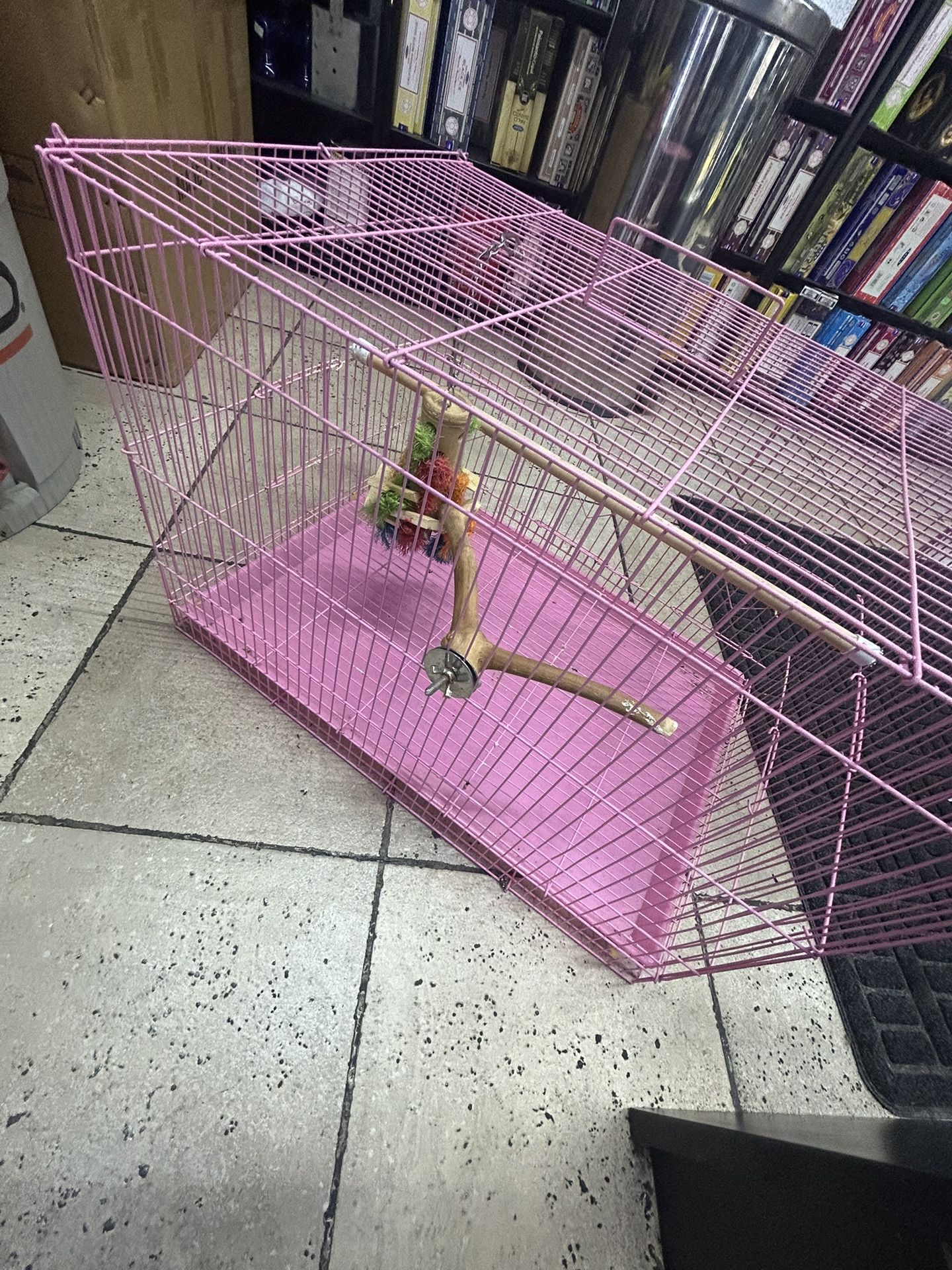 Bird Cage