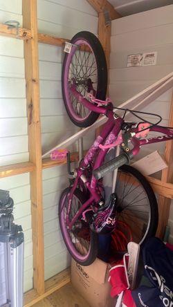Girl bike 20’