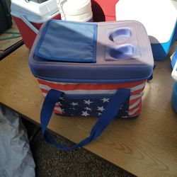 Ice Chest Cooler  Cloth Insulated  Personal Lunch Carri  I ASK $15.00