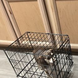 $20 Foldable Metal Small Dog Crate