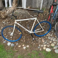 Fixie, W/ram Curl Handle Bars and one with straight bars