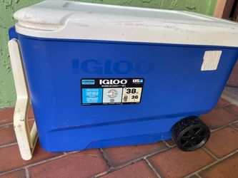 Rolling igloo cooler (38QT)