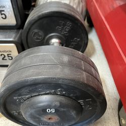 50LB Pro Dumbbell 