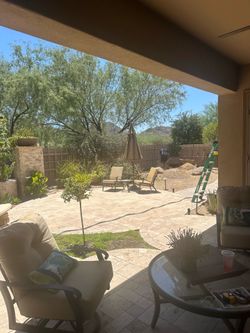 Free Texas ebony wood- cut in 3’ lengths. No branches- just trunk size no leaves