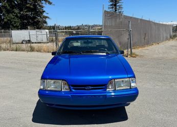 Mustang