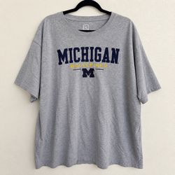 Michigan Wolverines Pro Edge T-Shirt Men’s 2XL Gray Embroidered NCAA