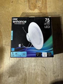 Feit Electric Enhance Light