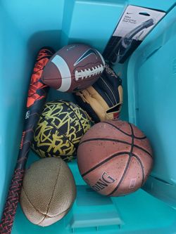 Assorted Balls, Pump, Bat And Bin