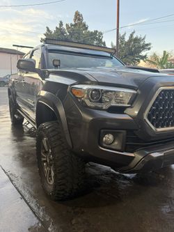 Toyota Tacoma Detail and renovation