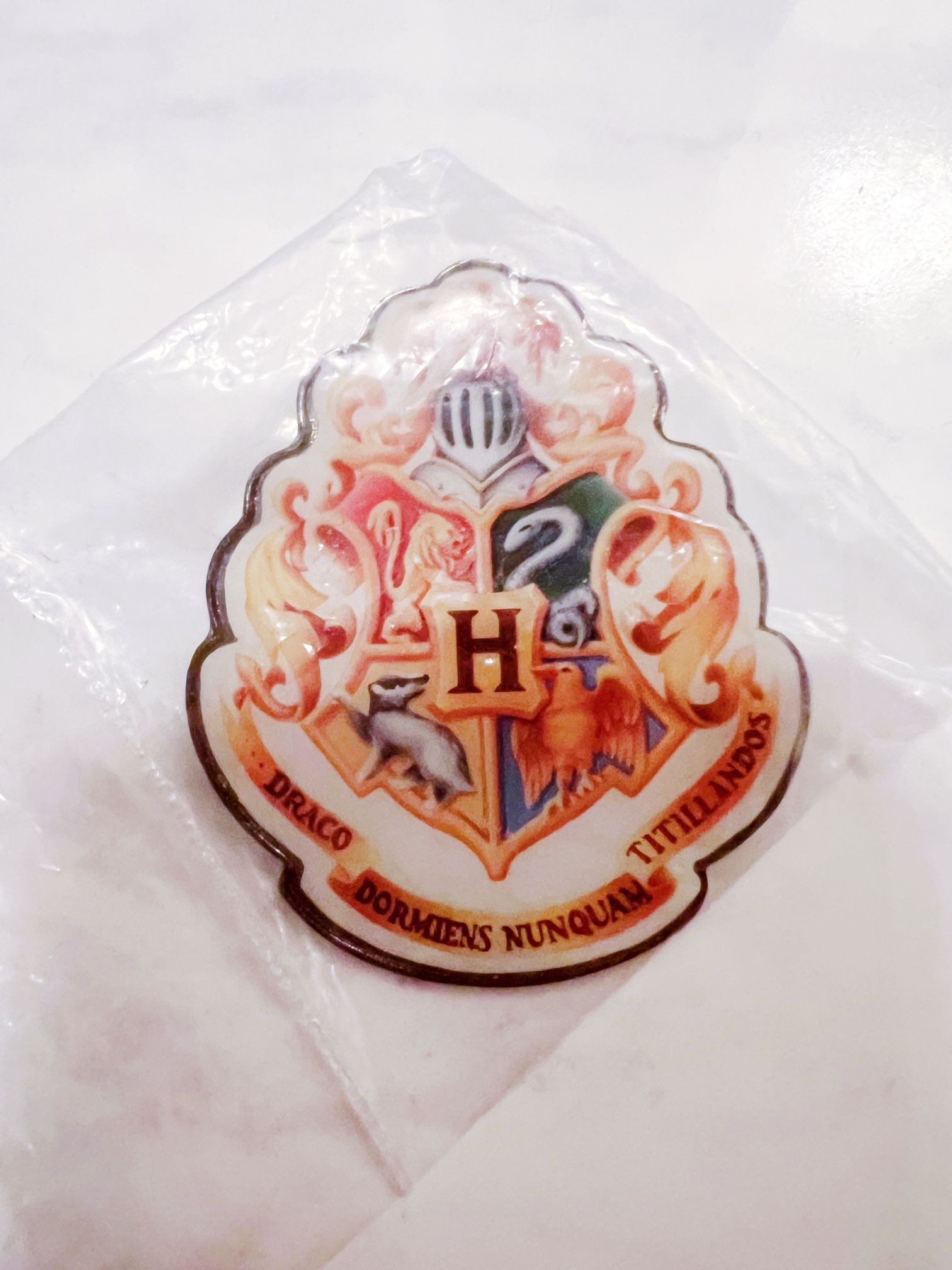 BRAND NEW Hogwarts Harry Potter Pin
