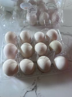Duck eggs