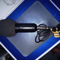 Microphone
