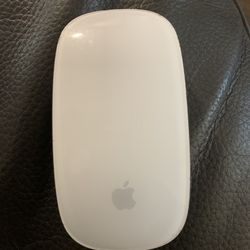Apple Magic Mouse.
