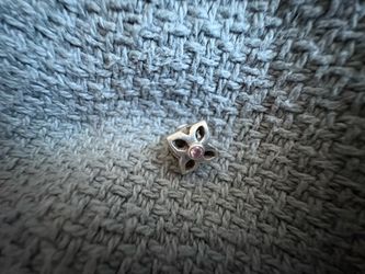 Pandora charm