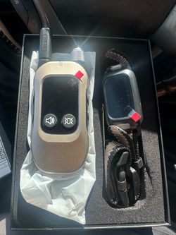 Dog Training Collar with Remote DT-55