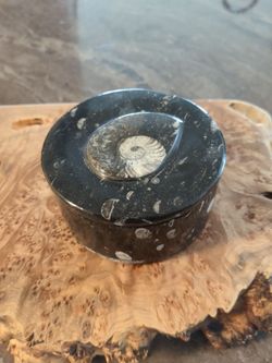 Stone / fossilized trinket box