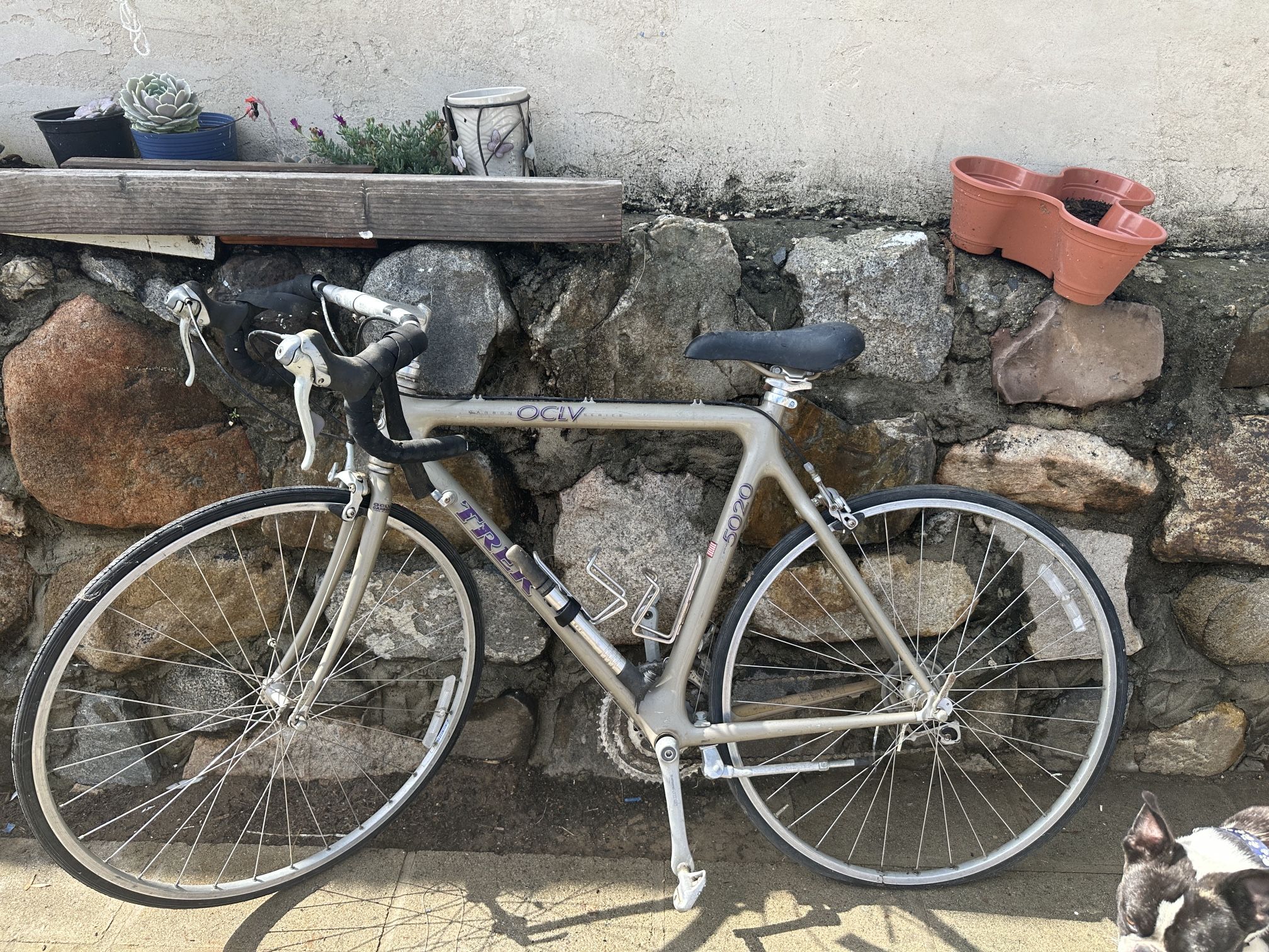 TREK 5020 OCLV Carbon Series Bike