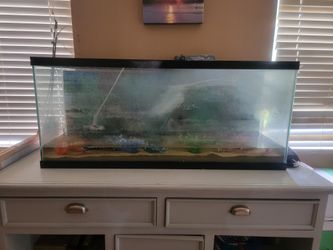 Fish Tank