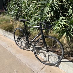 Trek Domane AL2 Road Bike