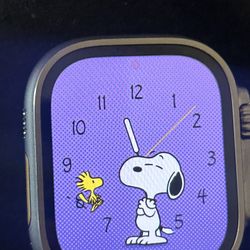 Apple Watch Ultra 2, Silver Titanium,49mm