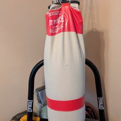 PUNCHING/KICK BAG